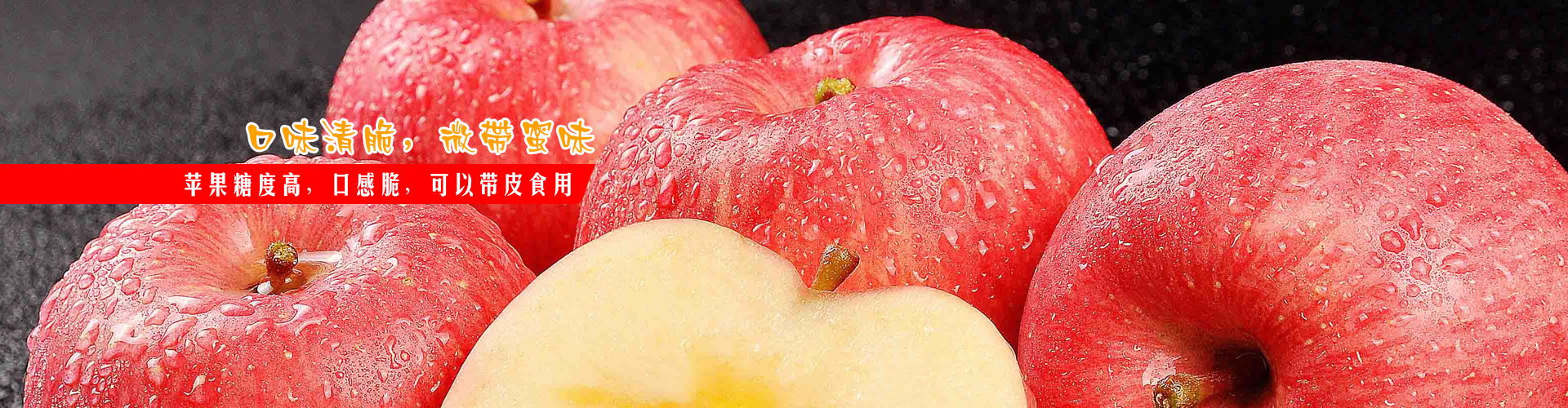 上海鸿影贸易有限公司