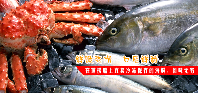 上海鸿影贸易有限公司